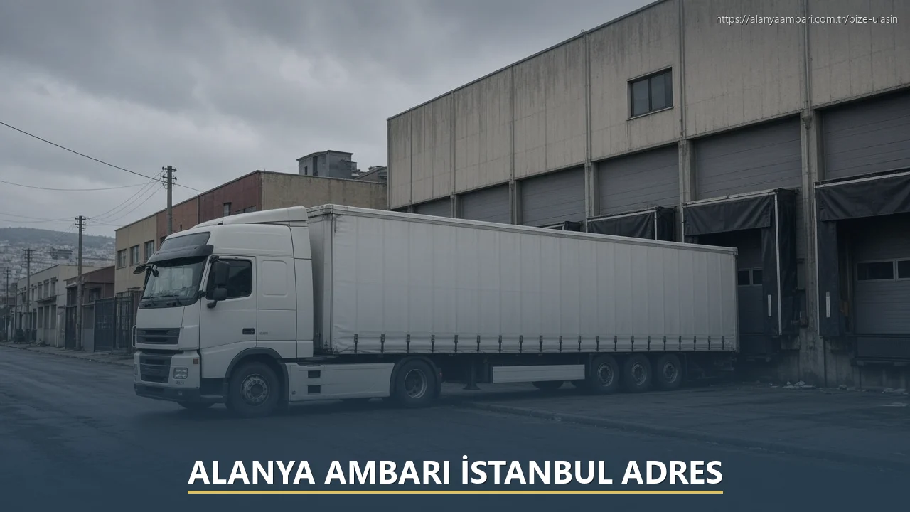 Alanya Ambarı İstanbul Adres